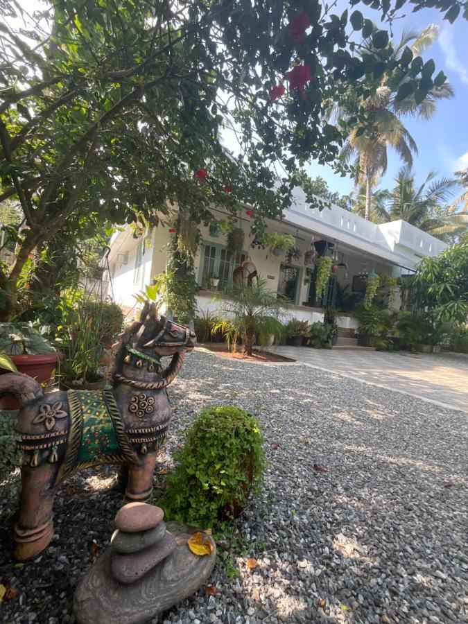 Bodhi Garden Villa In 瓦尔卡拉 外观 照片