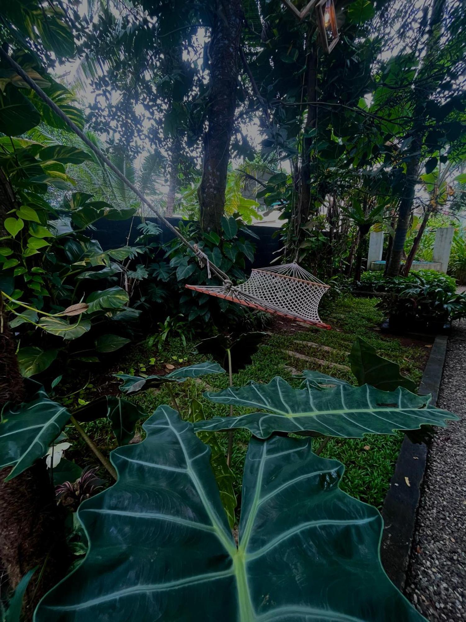 Bodhi Garden Villa In 瓦尔卡拉 外观 照片